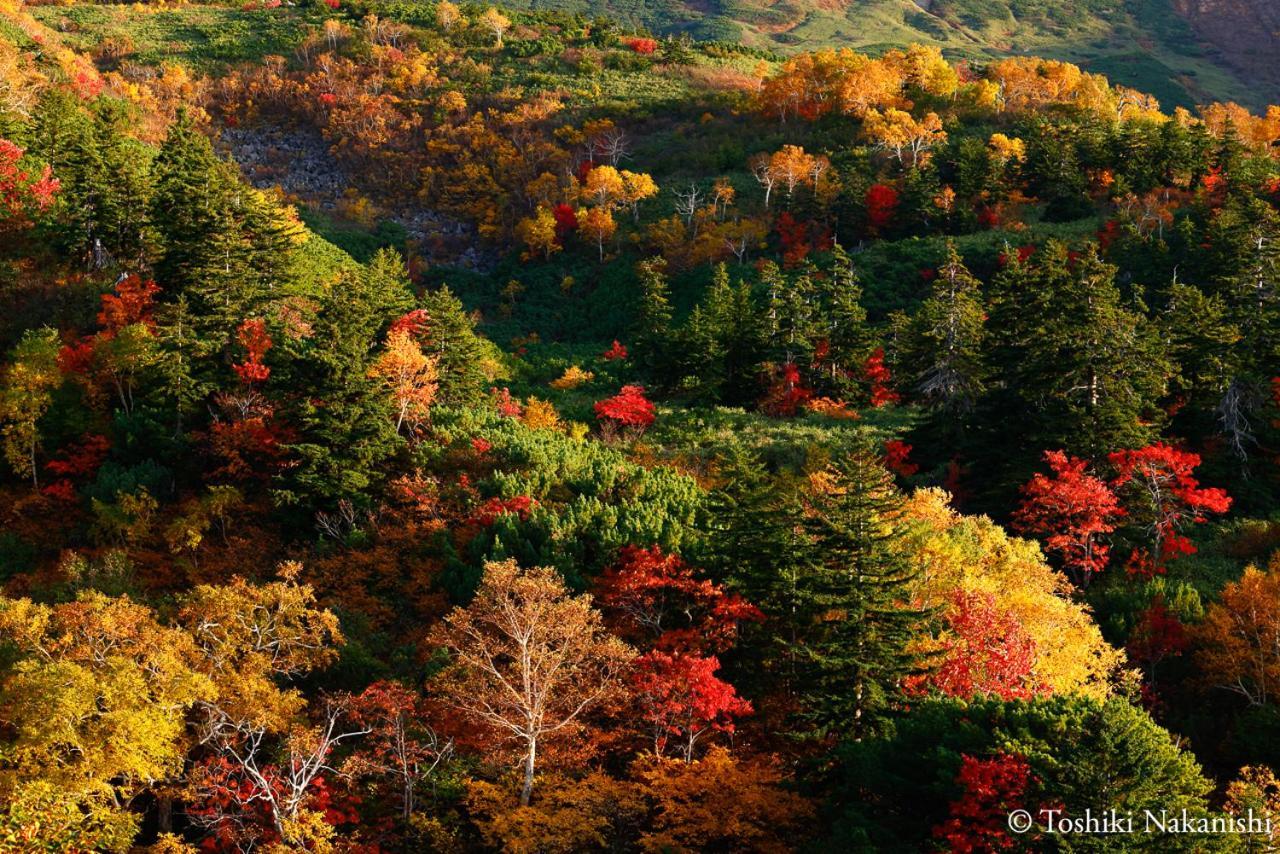 Nozo Hotel Furano Luaran gambar